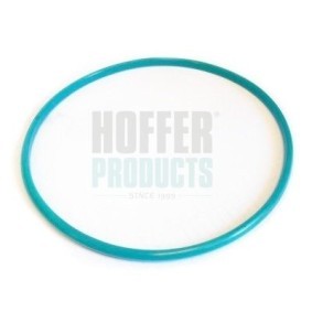 Compre Junta, sensor de nível de combustível da HOFFER 750GSK01 a um preço baixo por 16,07 €