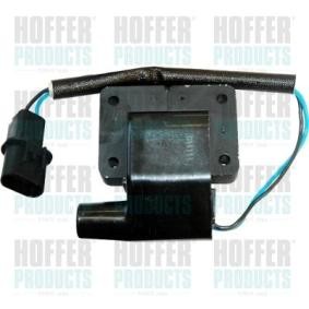 Acquista Bobina d'accensione da HOFFER online per H100 Pianale piatto/Telaio a prezzi moderati