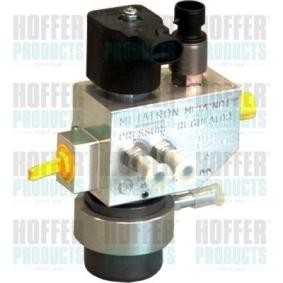 Acquista Valvola, Impianto iniezione da HOFFER H13100 a buon mercato per soli 754,20 €