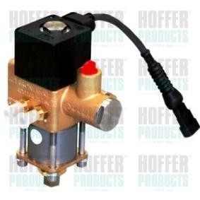 Acquista Valvola, Impianto iniezione da HOFFER H13105 a buon mercato per soli 778,60 €