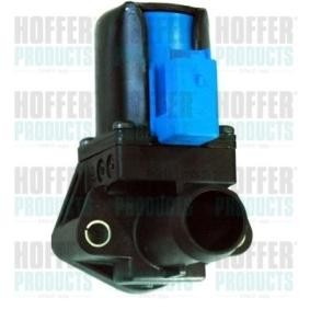 Acquista Valvola regolazione refrigerante da HOFFER 8029902 a buon mercato per soli 102,86 €