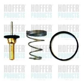 Achetez des Thermostat d'eau HOFFER 8192787 à prix pour 53,33 €