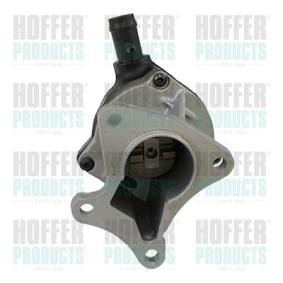 Achetez des Pompe à vide de freinage HOFFER 8091016 à prix pour 265,69 €