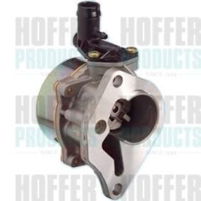 Achetez des Pompe à vide de freinage HOFFER 8091068 à prix pour 205,18 €