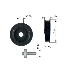 Acquista Puleggia cinghia albero a gomiti da GATES TVD1127A a buon mercato per soli 157,31 €