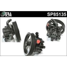 Servopumpe SP85135