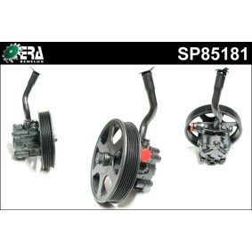 Servopumpe SP85181
