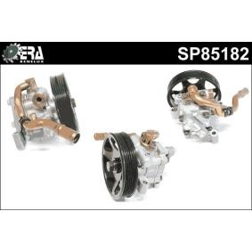 Servopumpe SP85182
