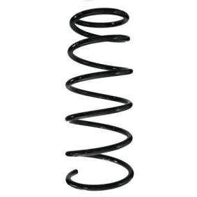 Acquista Molle ammortizzatori da SPIDAN 56979 a buon mercato per soli 67,51 €