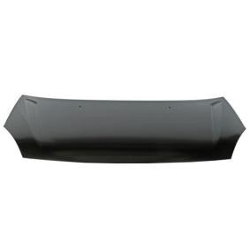 Motorhaube 6803-00-3132281P