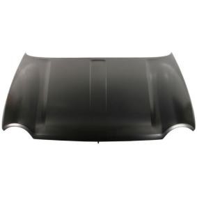 Motorhaube 6803-00-3211280P