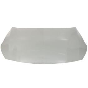 Motorhaube 6803-00-3221280P