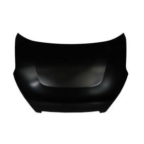 Motorhaube 6803-00-3284281P