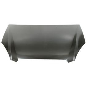 Motorhaube 6803-00-3286280P