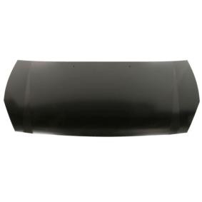 Motorhaube 6803-00-3294281P
