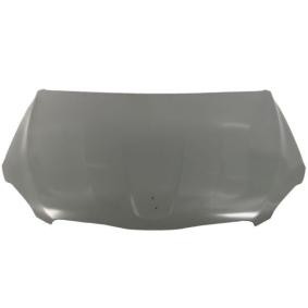 Motorhaube 6803-00-5511280P