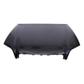 Motorhaube 6803-00-6711282P