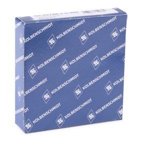 Compre Segmentos do motor de KOLBENSCHMIDT online para Movano Mk II (B) Combi (X62) a preços moderados