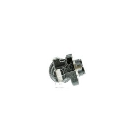 Radbremszylinder WCT-042