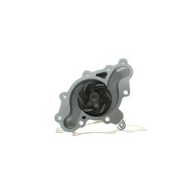 Achetez des Pompe à eau AISIN WPZ-029V à prix pour 50,92 €