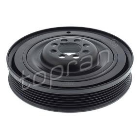 Achetez des Poulie damper (vilebrequin) TOPRAN 113 225 à prix pour 47,19 €
