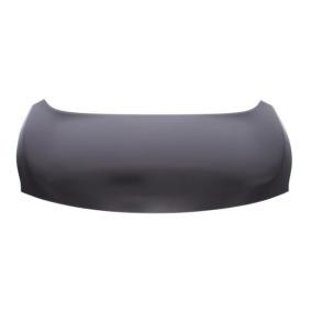 Motorhaube 6803-00-1619281P