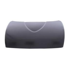 Motorhaube 6803-00-3488280P