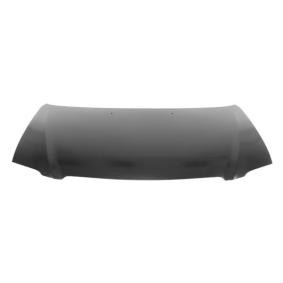 Motorhaube 6803-00-3486281P