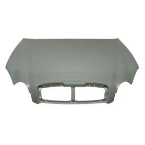 Motorhaube 6803-00-3168280P