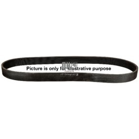 Achetez des Courroie Poly-V JP GROUP 1118107300 à prix pour 18,68 €
