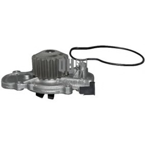 Wasserpumpe 4414100709 von JP GROUP günstig für 18,36 € online kaufen
