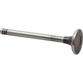 Compre Válvula de drenagem da JP GROUP 8111301106 a um preço baixo por 20,66 €