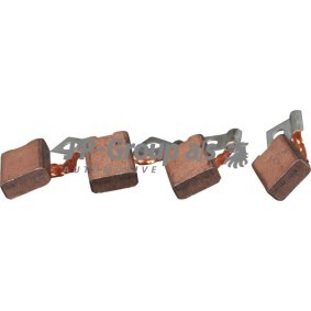Anlasser-Kohlebürsten 8191000416 VOLKSWAGEN KAEFER von JP GROUP