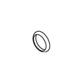 Dichtring, Abgasrohr 73804