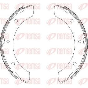 Bremsbackensatz 4317.00
