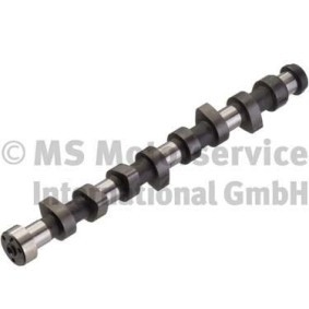 Nockenwelle 50006338