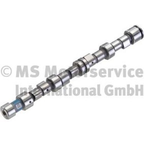 Nockenwelle 50006293