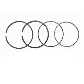 Compre Segmentos do motor de KOLBENSCHMIDT online para BOXER Camião de plataforma/chassis (ZCT_) a preços moderados