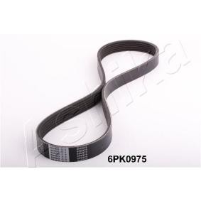 Achetez des Courroie Poly-V ASHIKA 112-6PK975 à prix pour 10,11 €