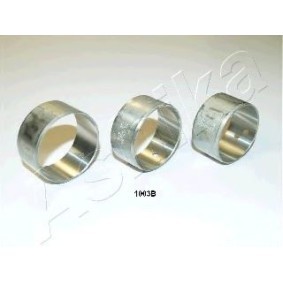Acquista Supporto albero a camme da ASHIKA online per PICK UP (D21) a prezzi moderati