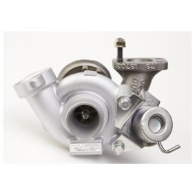 Comprar Turbocompresor de DELPHI HRX501 a bajo precio de 551,07 €