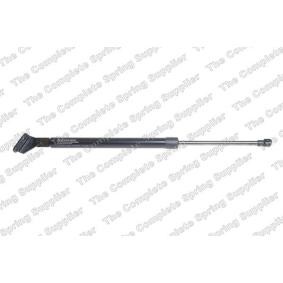Heckklappendämpfer 8155465