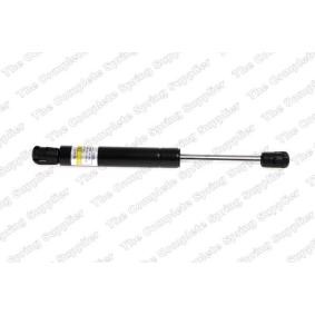 Motorhaubendämpfer 8094602 von LESJÖFORS günstig für 41,83 € online kaufen