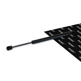 Osta Kaasujousi, tavaratila RIDEX:llä 219G0387 edullisesti hintaan 24,70 €