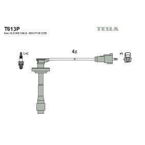 Zündleitungssatz T613P