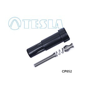 Stecker, Zündkerze für NISSAN von TESLA