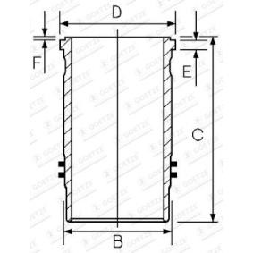 Køb Cylinderforing af GOETZE ENGINE 14-450250-00 til den lave pris 802,61 DKK