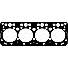 Acquista Guarnizione testata da PAYEN BS311 a buon mercato per soli 50,52 €