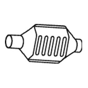 Katalysator 66302