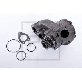 Achetez des Pompe à eau PETERS ENNEPETAL 140.201-00A à prix pour 293,95 €